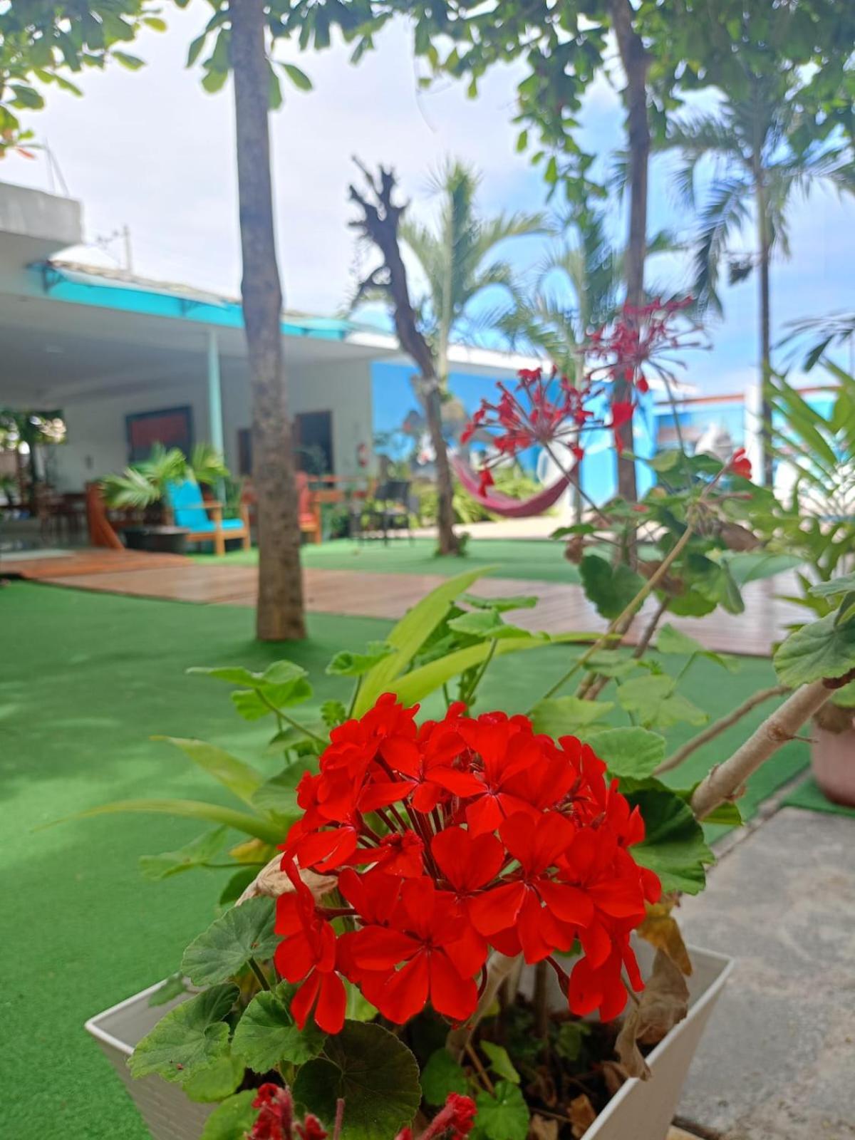 Galapagos Isabela Hotel Loja プエルト・ビジャミル エクステリア 写真